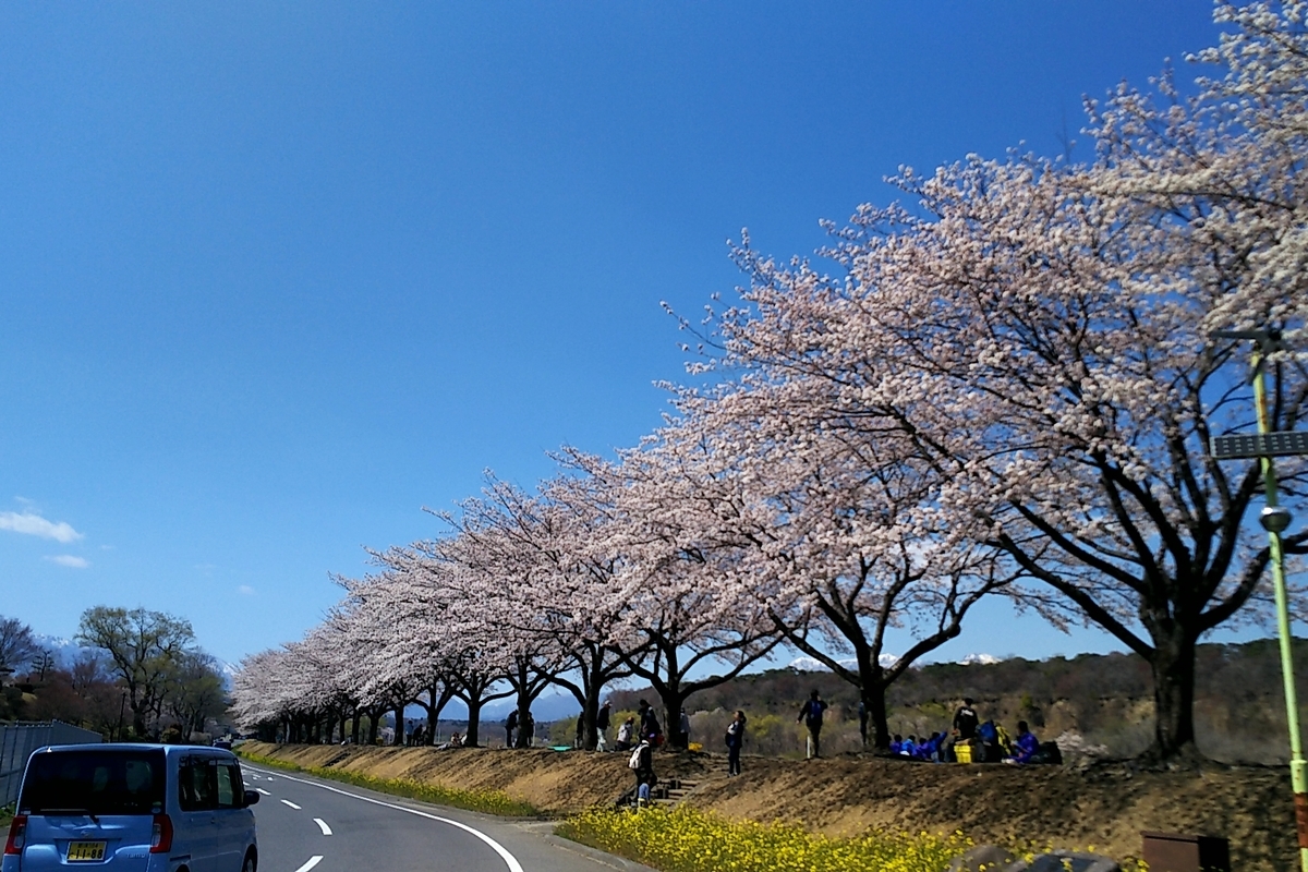 f:id:ketunyo:20190413204453j:plain f:id:ketunyo:20190413204453j:plain