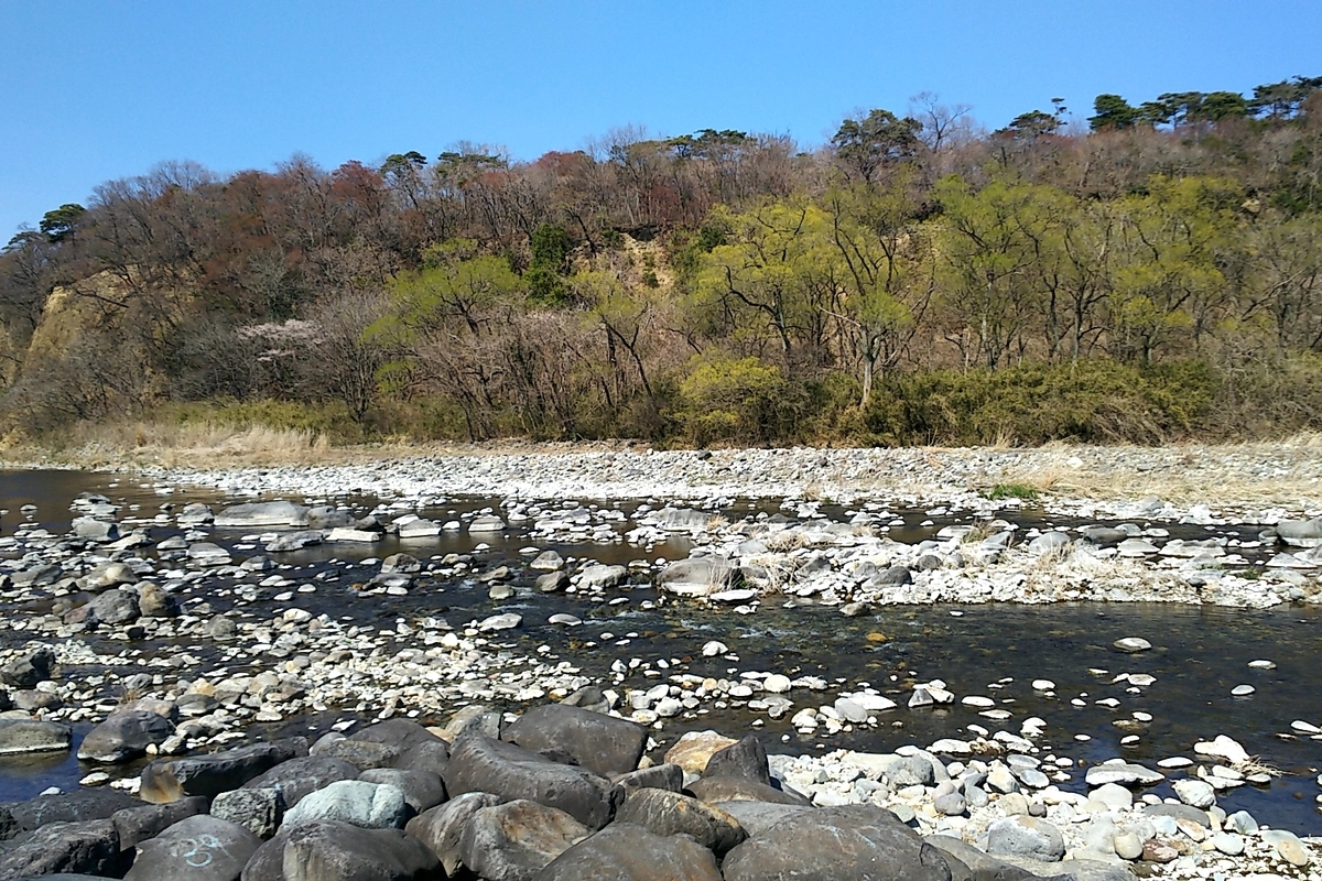 f:id:ketunyo:20190413205416j:plain f:id:ketunyo:20190413205416j:plain