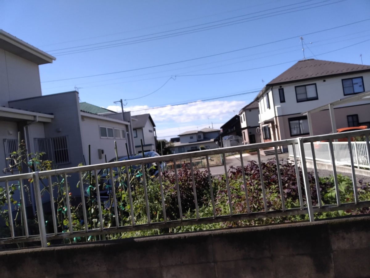 f:id:ketunyo:20210910214659j:plain