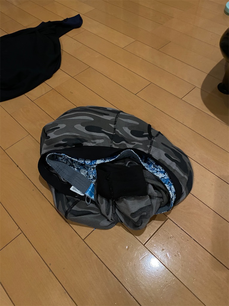 f:id:ketupuripapa:20210325122149j:plain