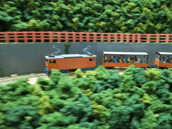 HOナローゲージレイアウト クラブにある美しいナローゲージレイアウト、これで走らせる機関車が