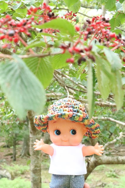 f:id:kewpieF:20200821154134j:plain f:id:kewpieF:20200821154134j:plain