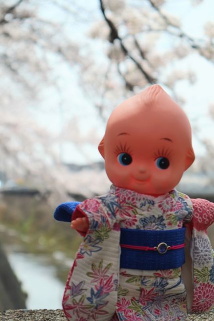 月遅れのひな祭りの不思議？」とキューピーの春の着物姿 - キューピー