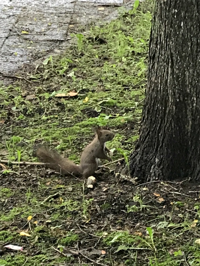 f:id:kewpiedolltookanart:20180703144317j:image