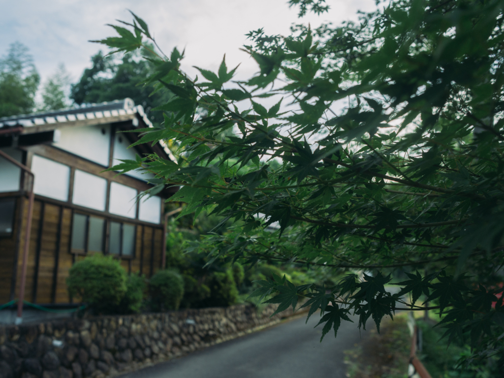 f:id:kewpiephoto:20170722080503j:plain f:id:kewpiephoto:20170722080503j:plain