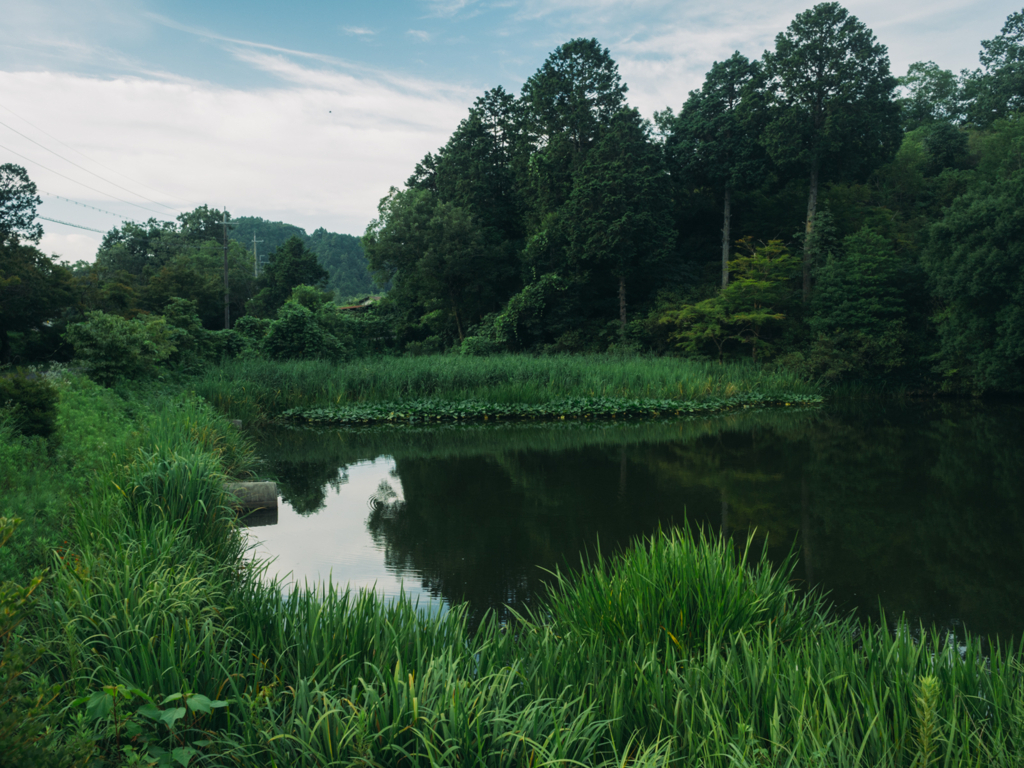f:id:kewpiephoto:20170722081156j:plain f:id:kewpiephoto:20170722081156j:plain