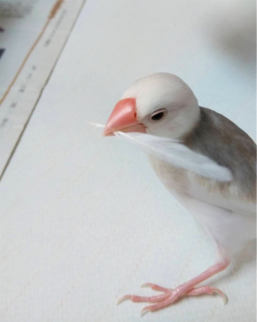 f:id:key-03:20210513205005j:image