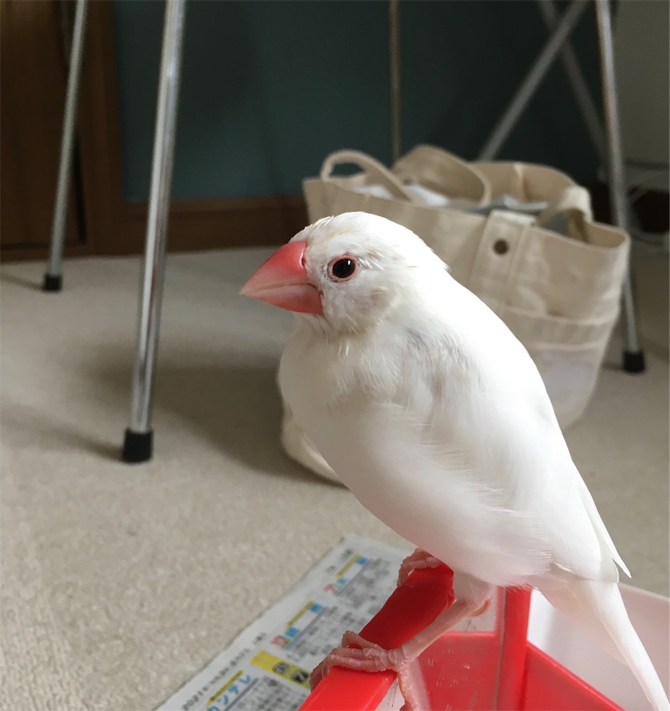 f:id:key-03:20210513210245j:image