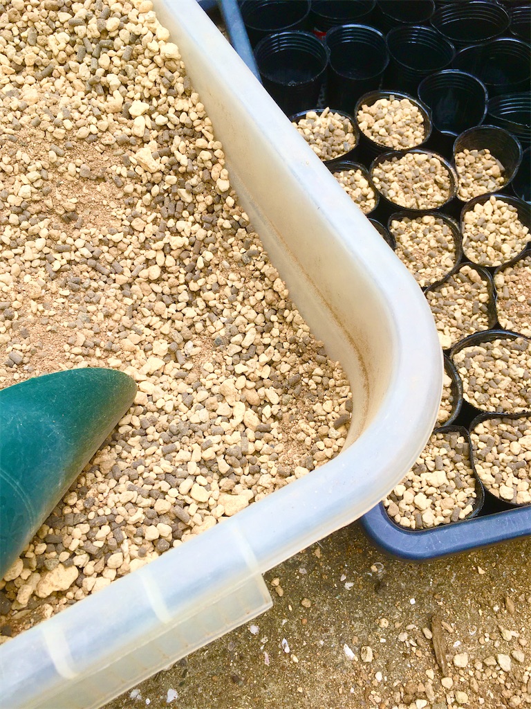 f:id:key-03:20210603100826j:image f:id:key-03:20210603100826j:image