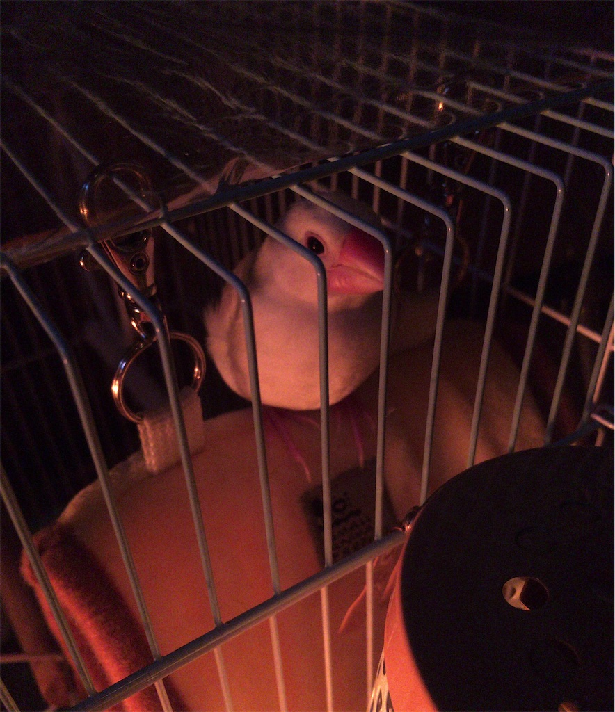 f:id:key-03:20210702155145j:image