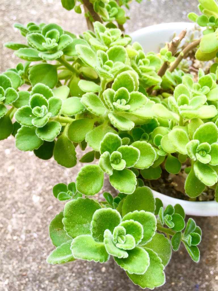 f:id:key-03:20211129102930j:image f:id:key-03:20211129102930j:image