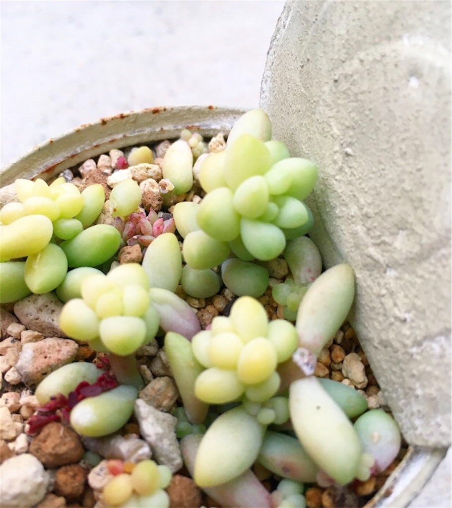 f:id:key-03:20220131180141j:image