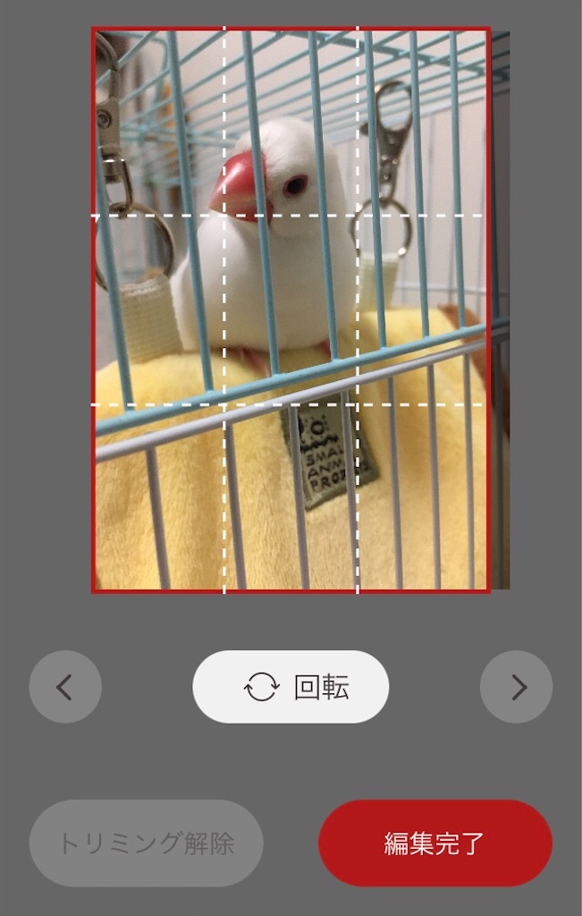 f:id:key-03:20220206120614j:plain