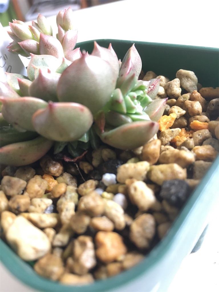 f:id:key-03:20230613090654j:image