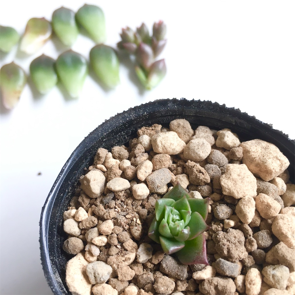 f:id:key-03:20230613091108j:image