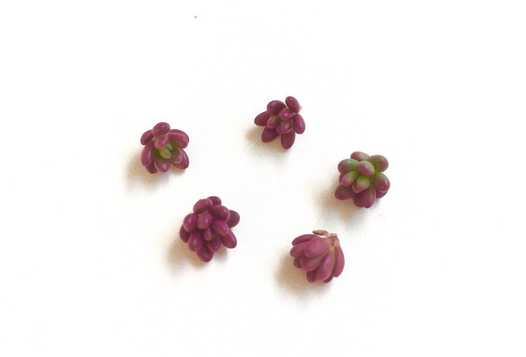 f:id:key-03:20231031101207j:image