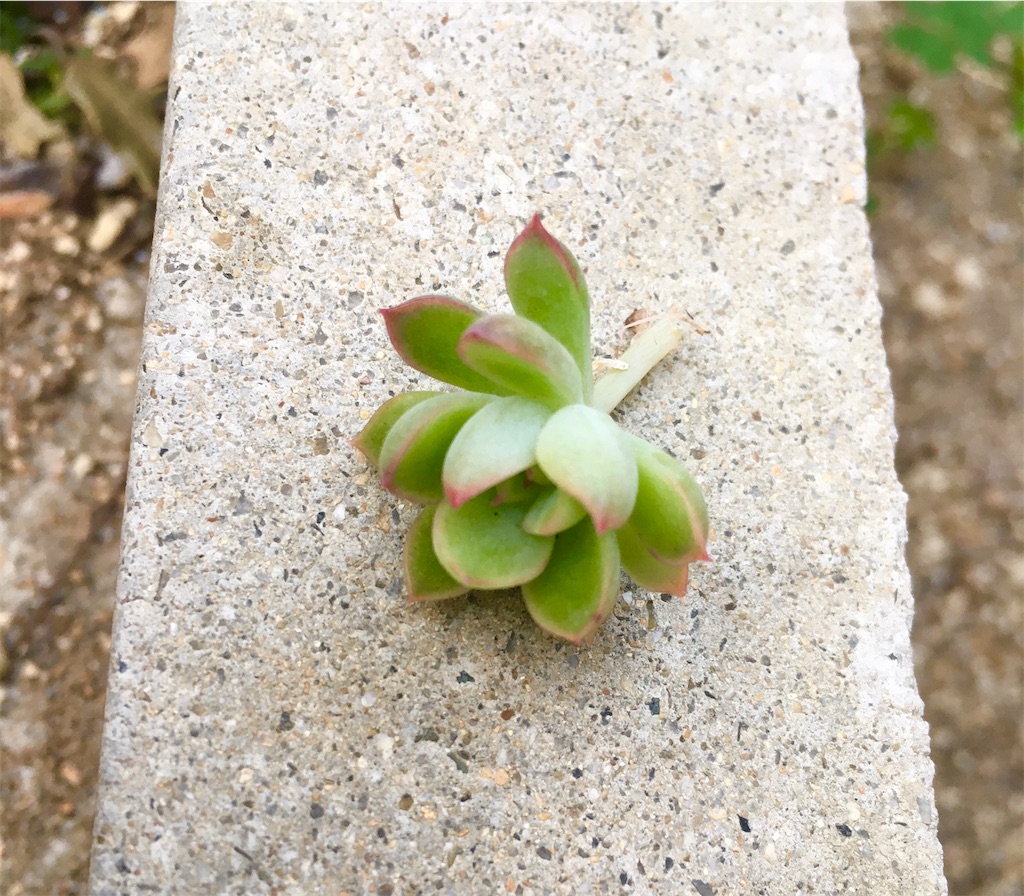 f:id:key-03:20231102072058j:image