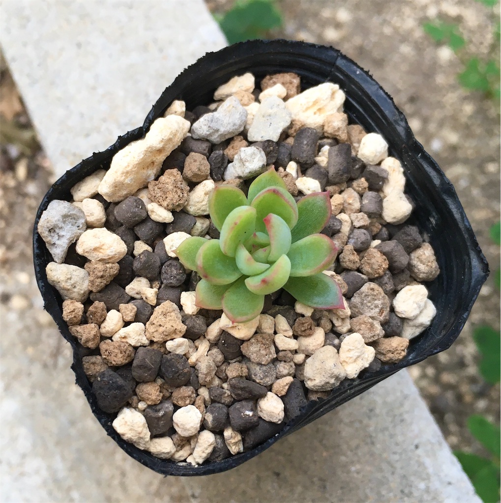 f:id:key-03:20231102072118j:image