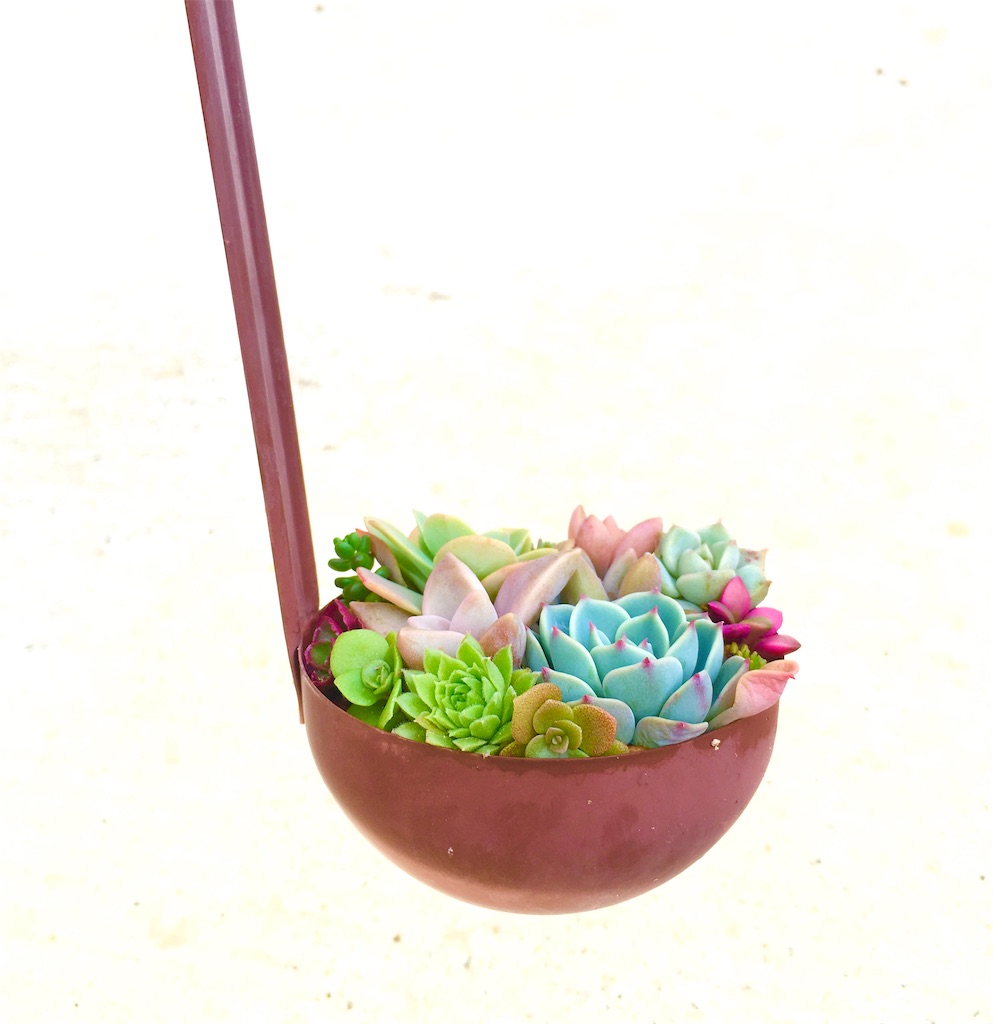 f:id:key-03:20231119150541j:image