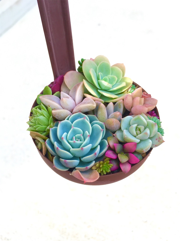 f:id:key-03:20231119150604j:image