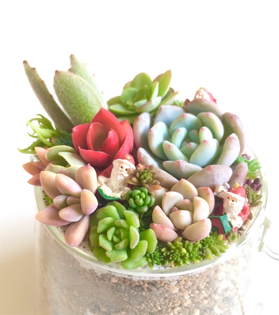 f:id:key-03:20231214052206j:image