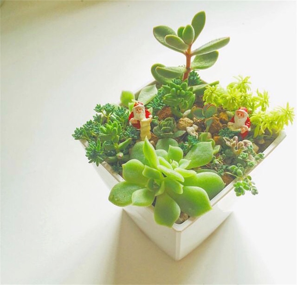 f:id:key-03:20231214052518j:image