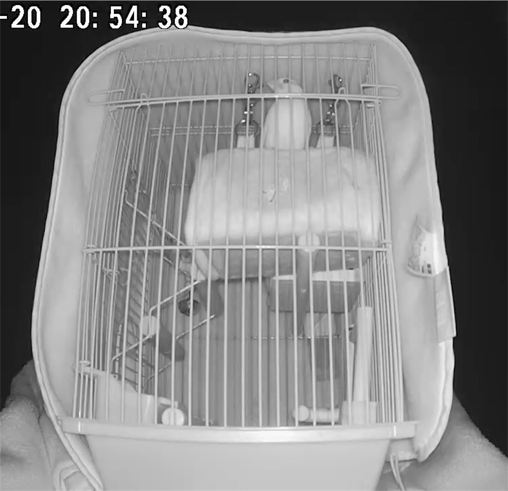 f:id:key-03:20240821081849j:image