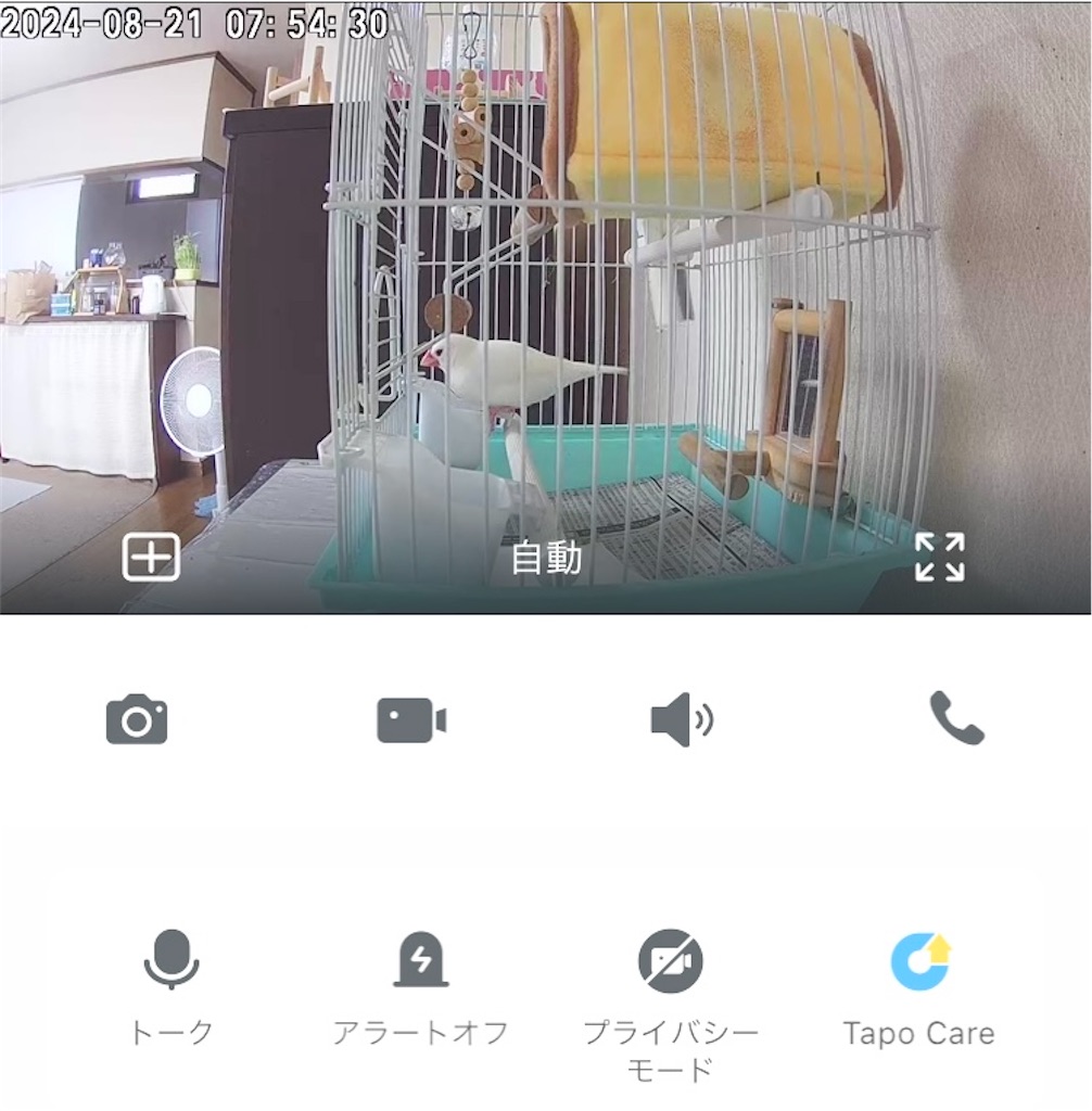 f:id:key-03:20240821084343j:image