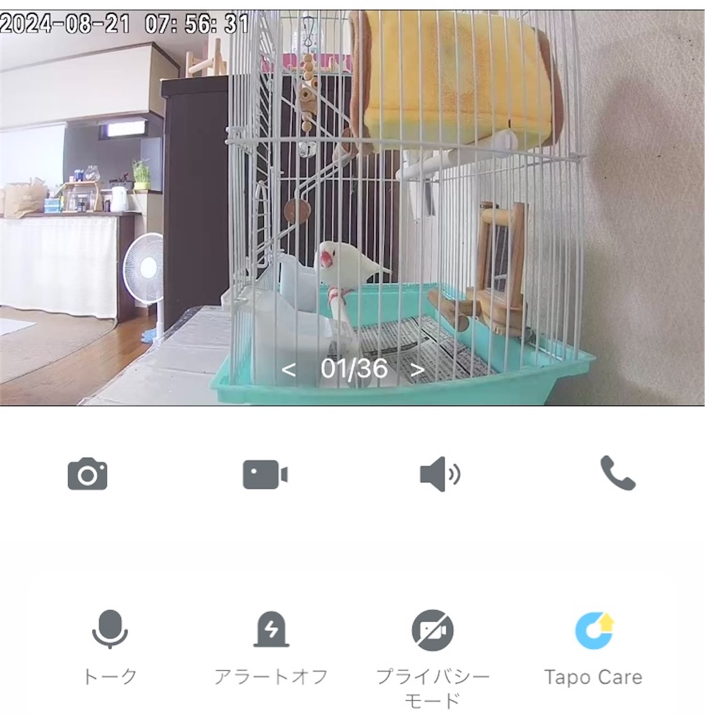 f:id:key-03:20240821084354j:image