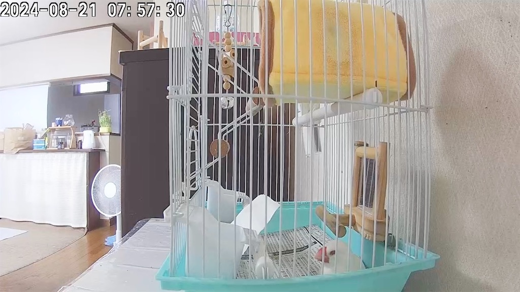 f:id:key-03:20240821084406j:image