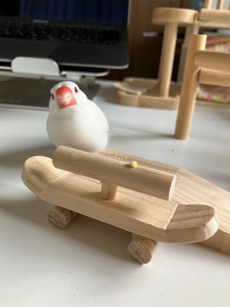 文鳥さんのバードボード（ミニスケボー）練習中 - VINTAGE'S KEY