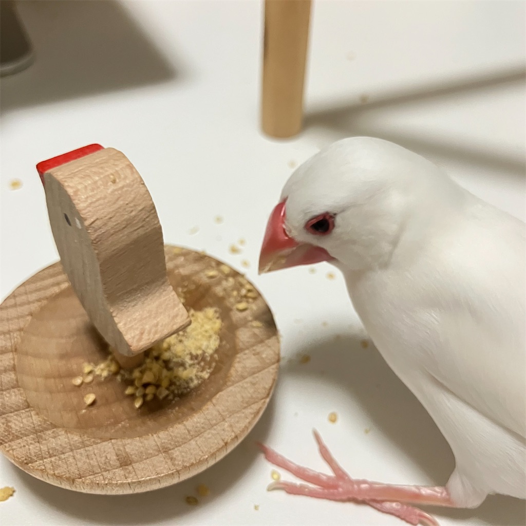 f:id:key-03:20241222184636j:image