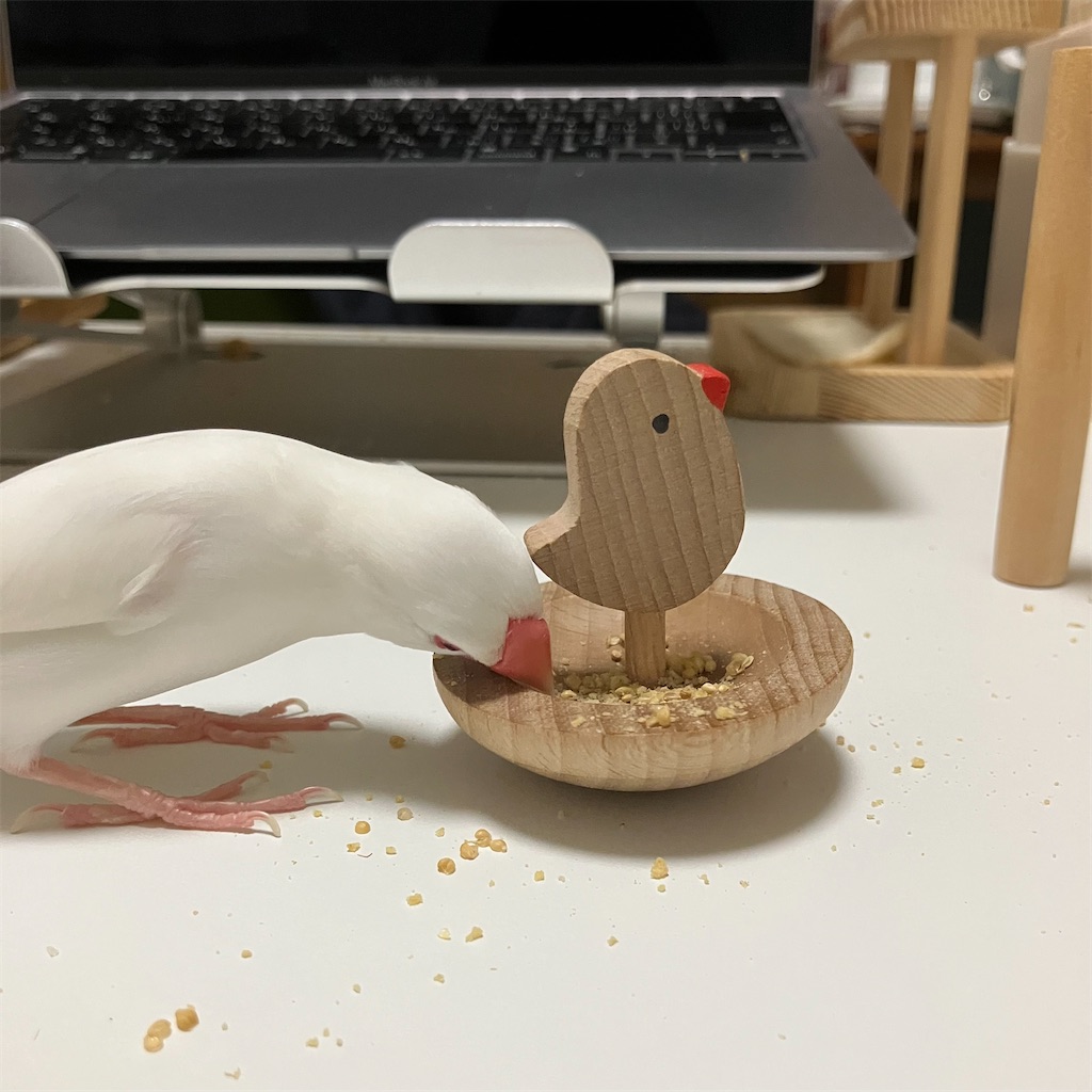 f:id:key-03:20241222184654j:image