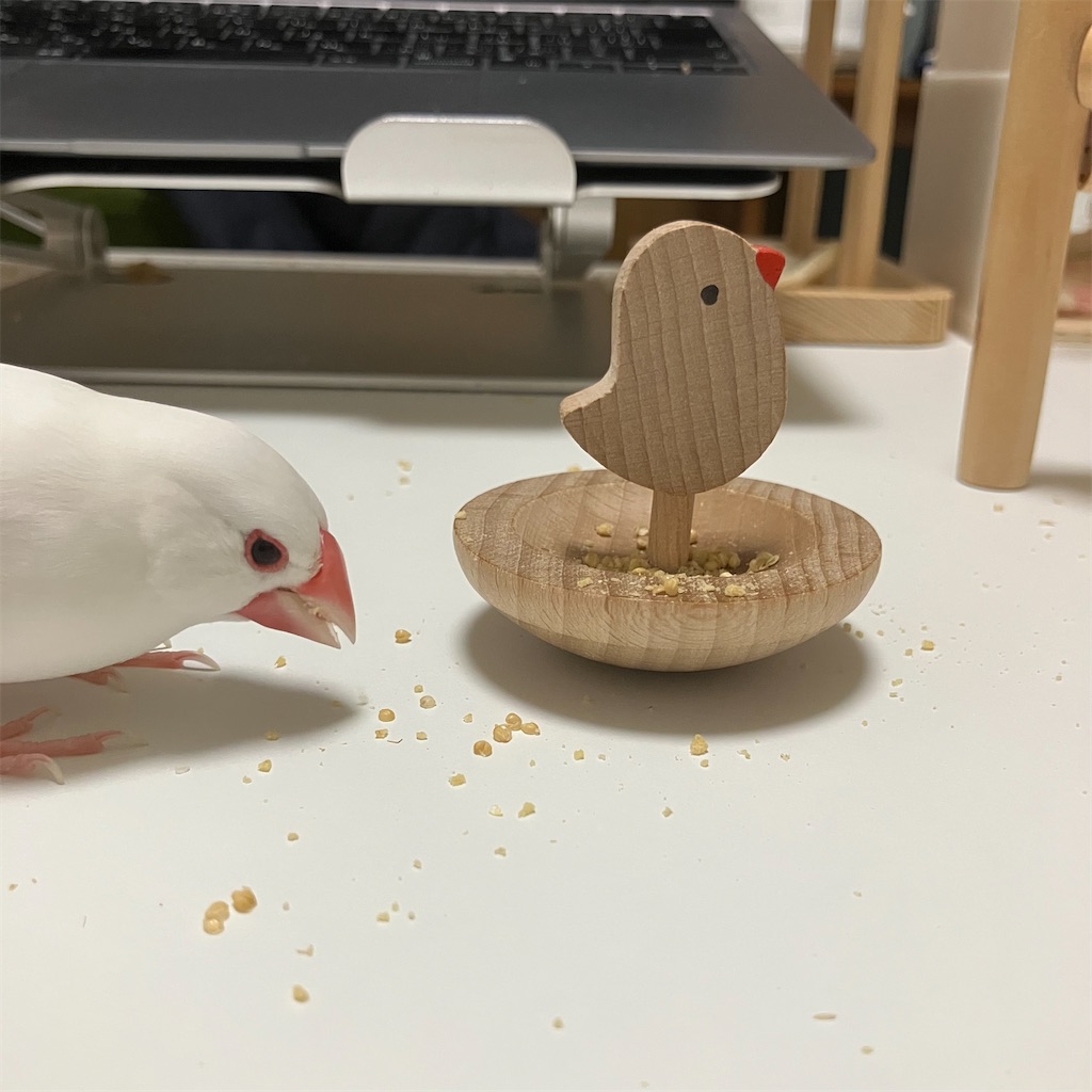 f:id:key-03:20241222184710j:image