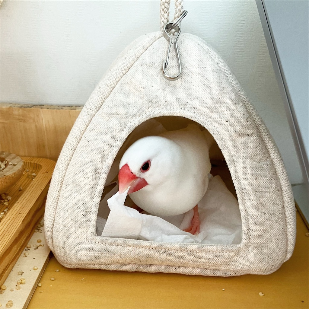 もふもふバードテント ‪☆ 特大ロング アヒルさん⑦a 文鳥さんに可愛いバードテントをプレゼント - VINTAGE'S KEY