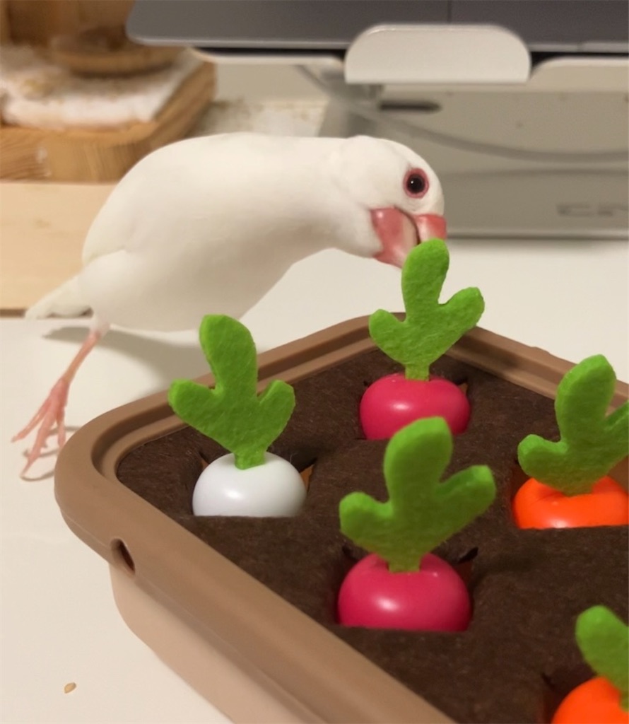 f:id:key-03:20251216091054j:image