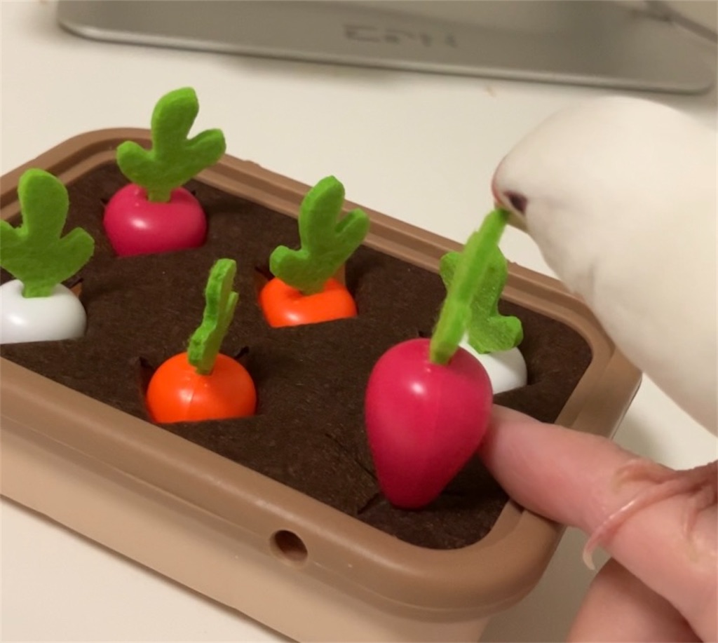 f:id:key-03:20251216091537j:image