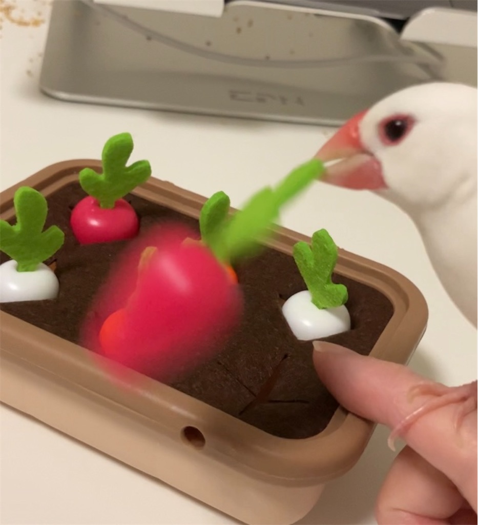 f:id:key-03:20251216091544j:image