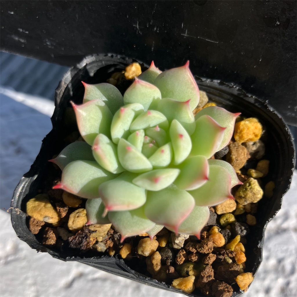 f:id:key-03:20251220175246j:image f:id:key-03:20251220175246j:image