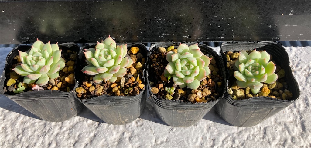 f:id:key-03:20251220175316j:image f:id:key-03:20251220175316j:image