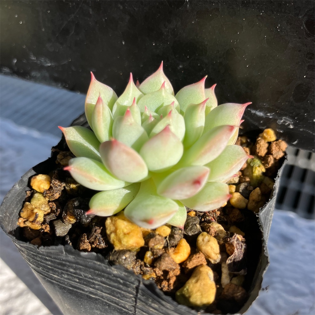 f:id:key-03:20251220175333j:image f:id:key-03:20251220175333j:image