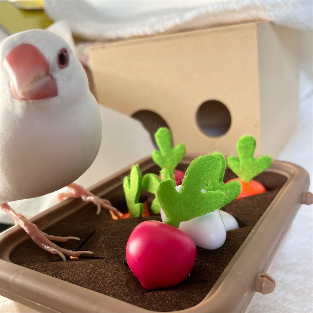 f:id:key-03:20260106091815j:image