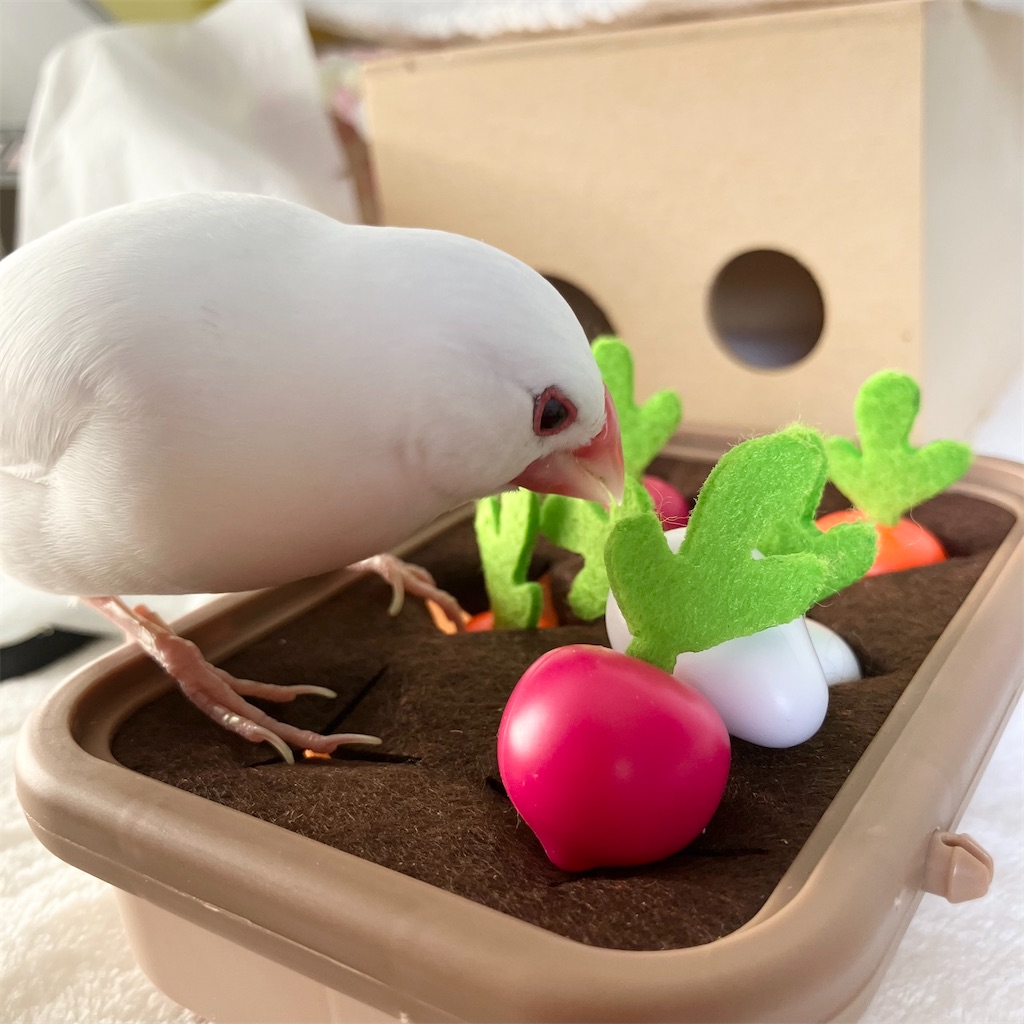 f:id:key-03:20260106091824j:image