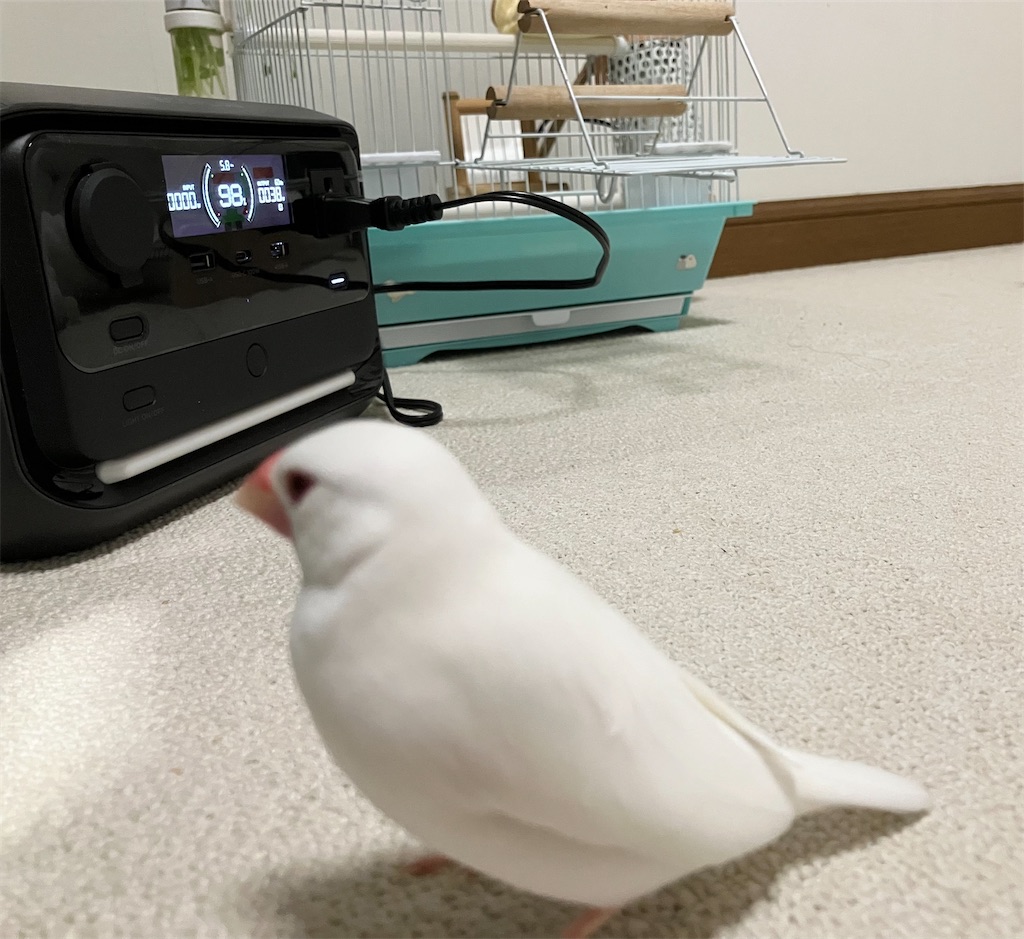 f:id:key-03:20260124193346j:image