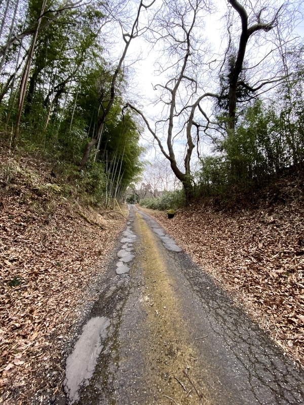 f:id:key3:20210320130243j:plain