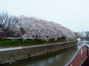 f:id:key306:20060402114928j:image f:id:key306:20060402114928j:image