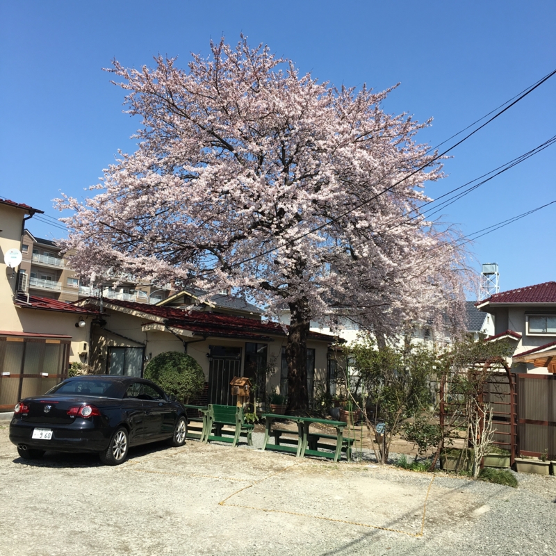 f:id:keyakikun:20160406131559j:image:w640