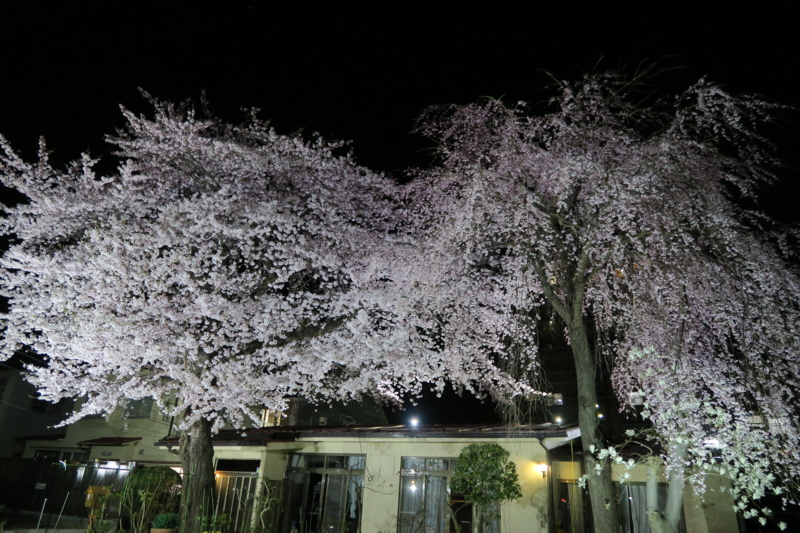 f:id:keyakikun:20160406195416j:image:w640