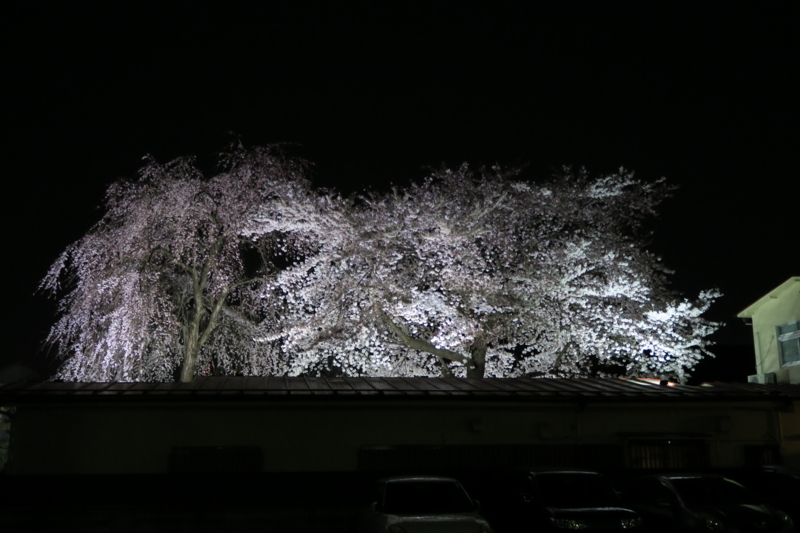 f:id:keyakikun:20160406195729j:image:w640
