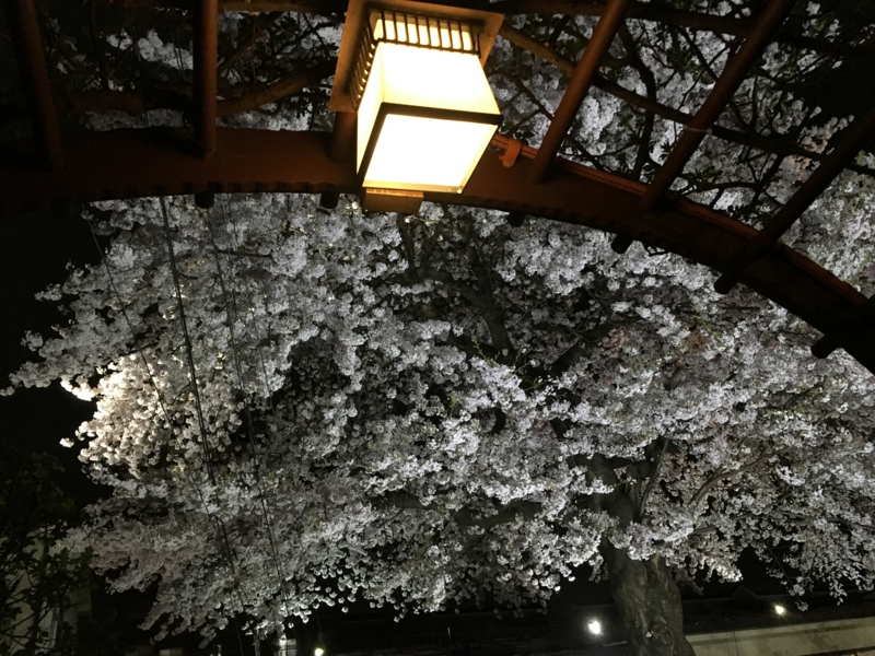 f:id:keyakikun:20160410214615j:image:w640